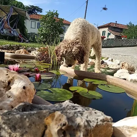 Vista Super Tatil Evi